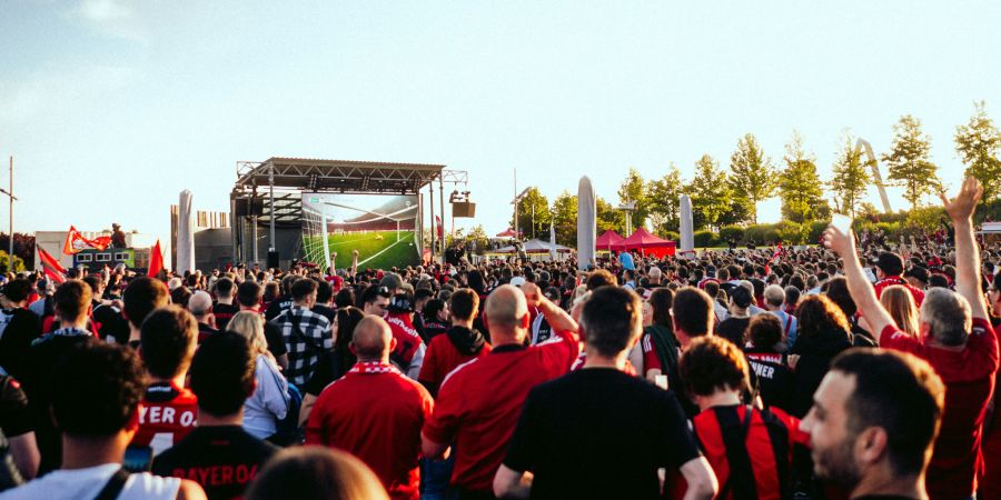 Public-Viewing