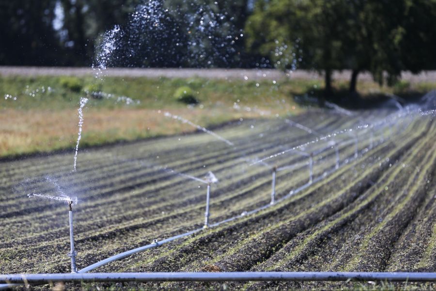 wasser
