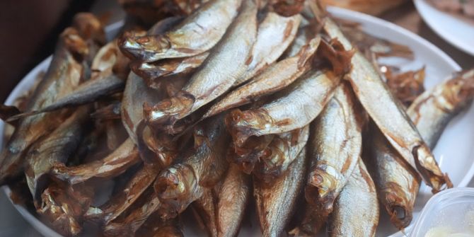 Fisch
