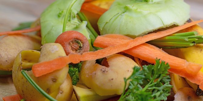 Kartoffelschalen Küchenabfall bio Kompost