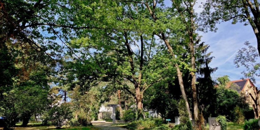 Der ehemalige Dorffriedhof in Reinach BL wird bis Ende 2027 zum Stadtpark.