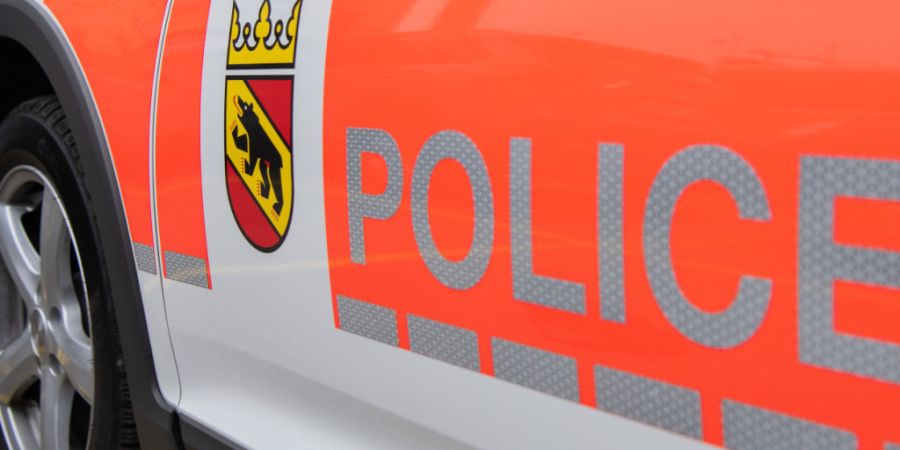 Rund 20 Personen wurden von zwei Ambulanzteams vorsorglich untersucht, um eine Rauchgasvergiftung auszuschliessen - verletzt wurde niemand. (Archivbild)
