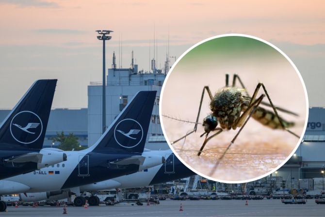 Malaria Flughafen Frankfurt