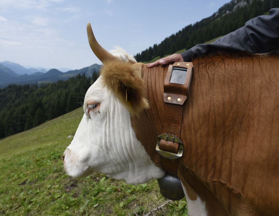 Touristen in einem italienischen Ferienort waren genervt von dem Lärm der Glocken.