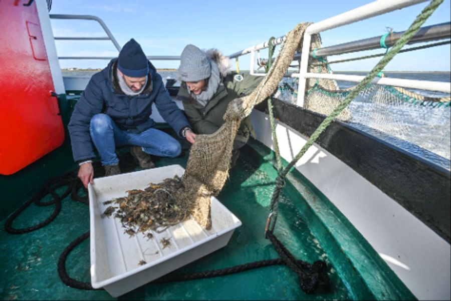 Boot Meer Krebse Fischer
