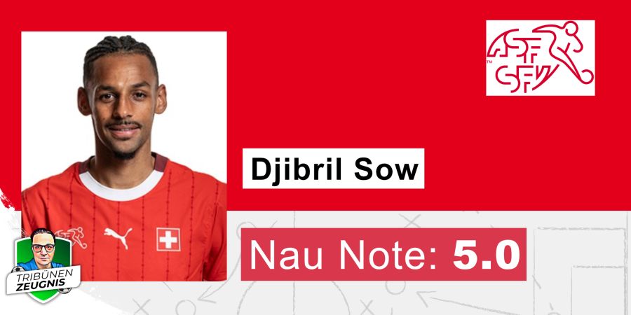Schweizer Nati