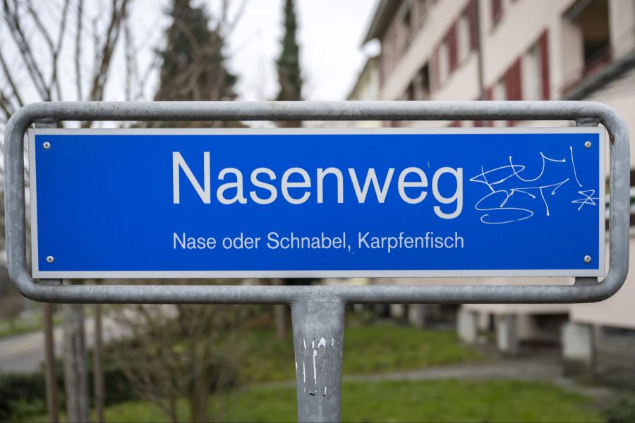 Nasenweg