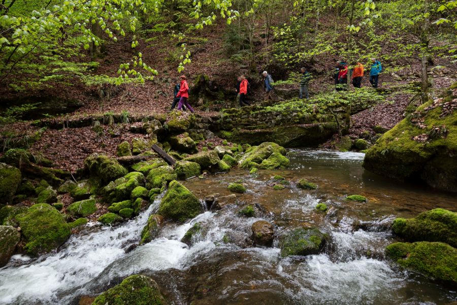 Twannbachschlucht Biel Seeland