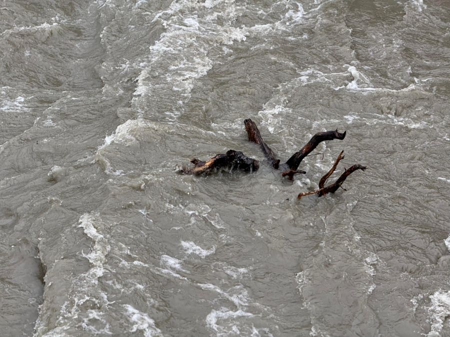 Der Fluss trägt auch Schwemmholz mit sich.