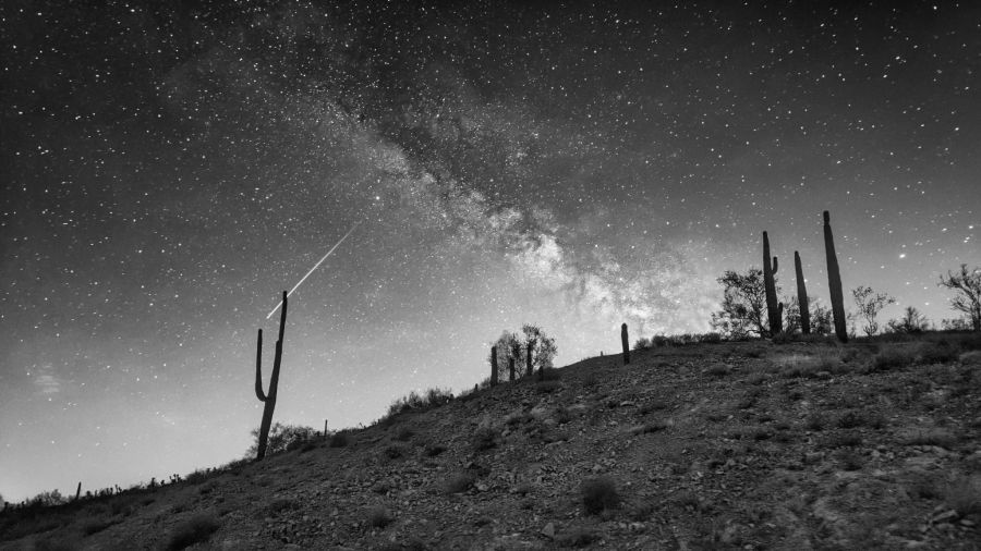 Sonora-Wüste bei Nacht in schwarz-weiss.