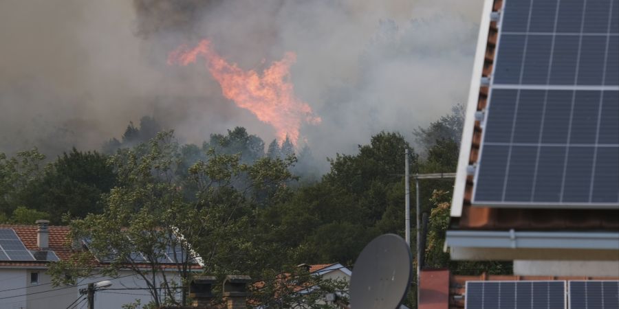 Montenegro Wildfires