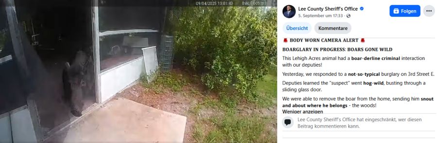 Das Wildschwein stürmt hinter dem Beamten nach draussen.