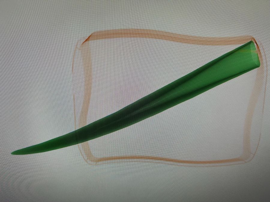 Am Genfer Flughafen wurde dieses Jahr ein 2,8 Kilogramm schwerer Elefanten-Stosszahn im Koffer eines 68-jährigen US-Amerikaners entdeckt.