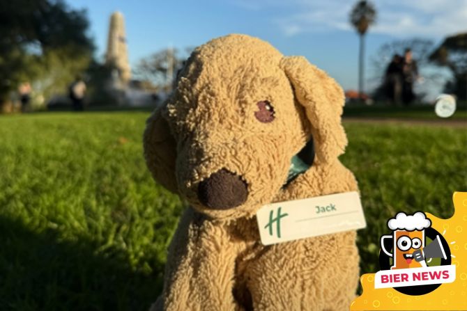 Stoffhund Hotel Plüschtier Internetstar