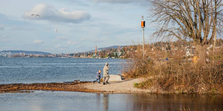 Das Delta des Dorfbachs in Küsnacht am Zürichsee.