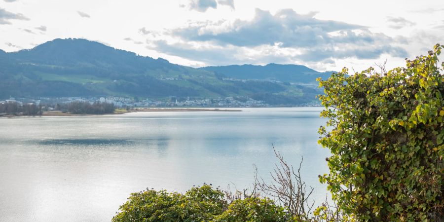 Das rechte Zürichseeufer in Rapperswil-Jona.