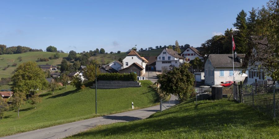 Der Dorfkern und die Hauptstrasse in Nusshof.