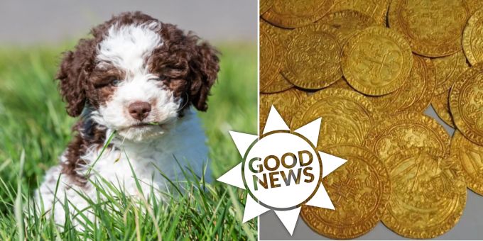 Good News - Welpe findet bei Spaziergang wertvolle Goldmünzen!