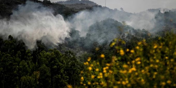 Löschflugzeug in Nordportugal im Einsatz Löschflugzeug in Nordportugal im Einsatz