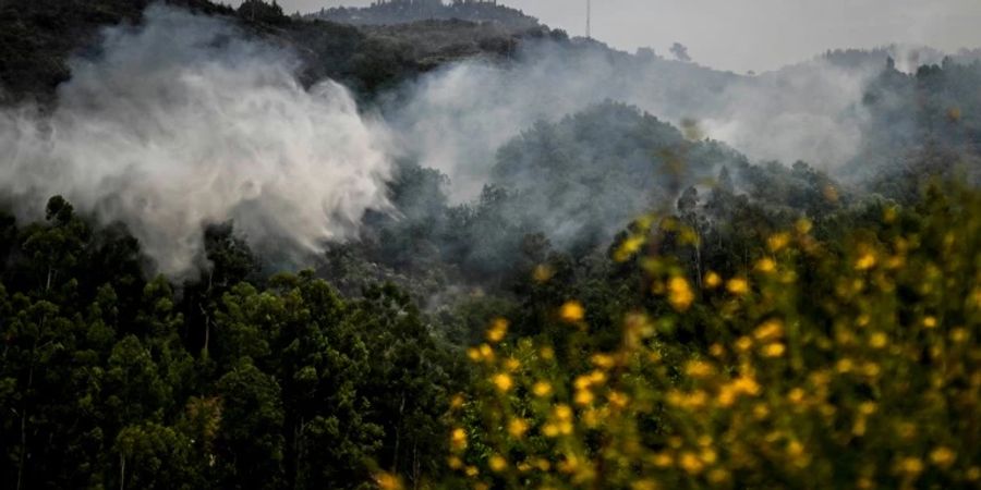Löschflugzeug in Nordportugal im Einsatz