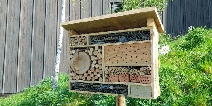 Klassenprojekt: Wildbienenhotel beim Schulhaus Waldeg. Drittklässler bauen Wildbienenhotels