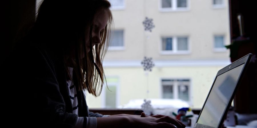 Nach dem Tod eines Netflix-Stars will Japan gegen Cyber-Mobbing vorgehen.