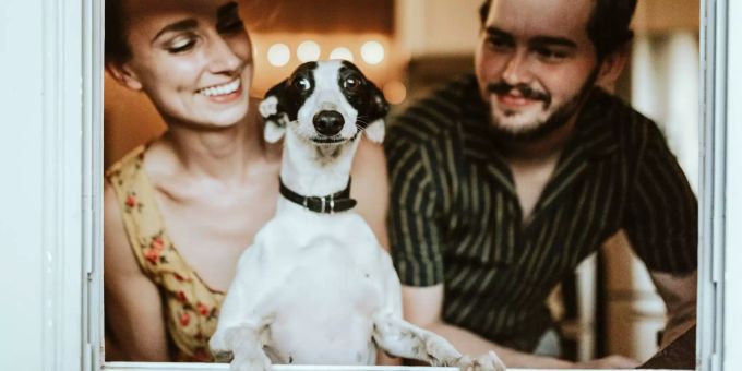 Wer erhält im Falle einer Scheidung den Hund? Hund, Mann und Frau