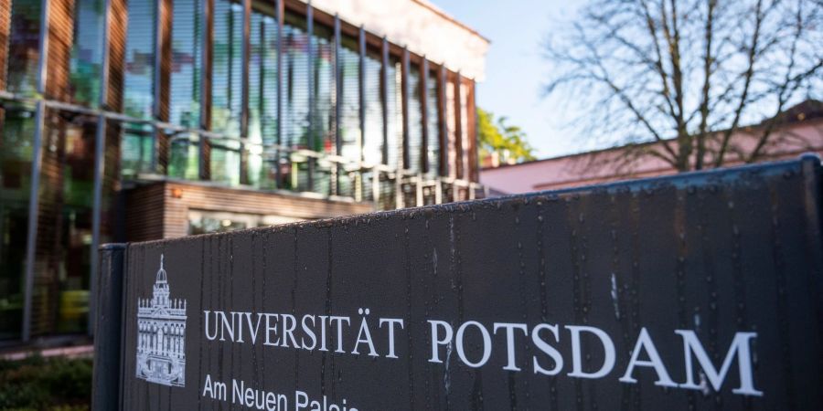 Eine fünfköpfige Untersuchungskommission der Uni Potsdam hat die Vorwürfe gegen Walter Homolka untersucht: Einige bestätigten sich demnach - nicht aber die Anschuldigung, Homolka habe sexualisierte Belästigung geduldet.