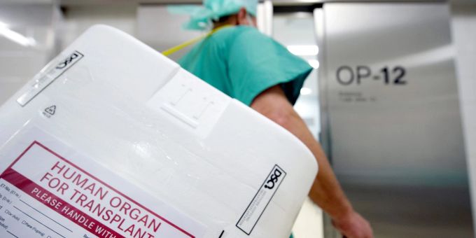 Ein Styropor-Behälter zum Transport von zur Transplantation vorgesehenen Organen am Eingang eines OP-Saales. Ein Styropor-Behälter zum Transport von zur Transplantation vorgesehenen Organen am Eingang eines OP-Saales.