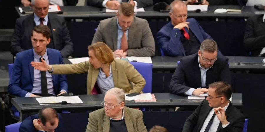 AfD-Fraktion im Bundestag