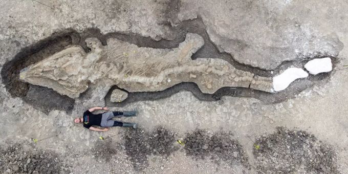 Ein Paläontologe posiert mit dem Fossil des Ichthyosauriers. Bild: dpa Rutland