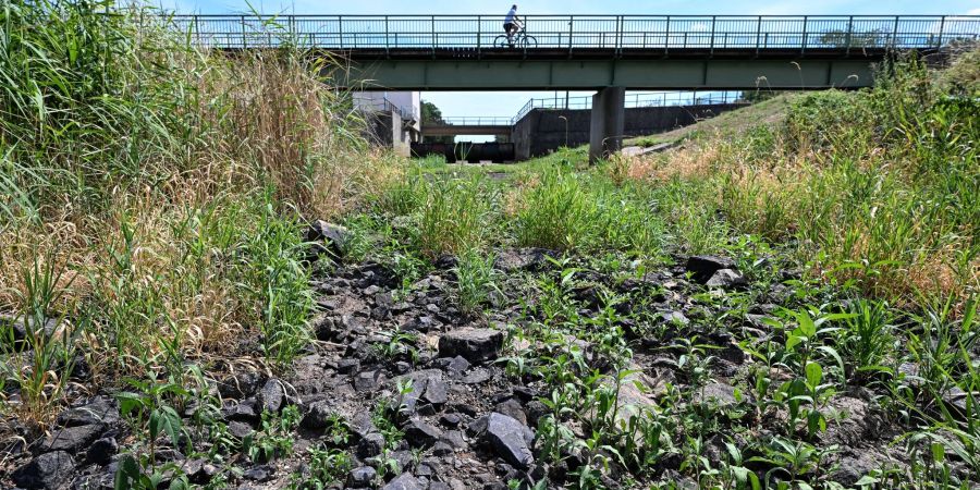 Hitze in Deutschland - das ausgetrocknete Flussbett der Schwarzen Elster in Brandenburg.