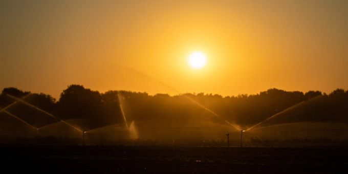 Gemäss einer Studie leiden die Grundwasserreserven unter zunehmender Verschmutzung. Grund dafür sind schwindende Grundwasserpegel. (Symbolbild) Klimawandel Grundwasser
