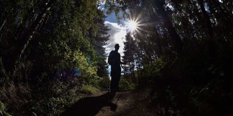 Wald Wanderer Schatten Sonne UV