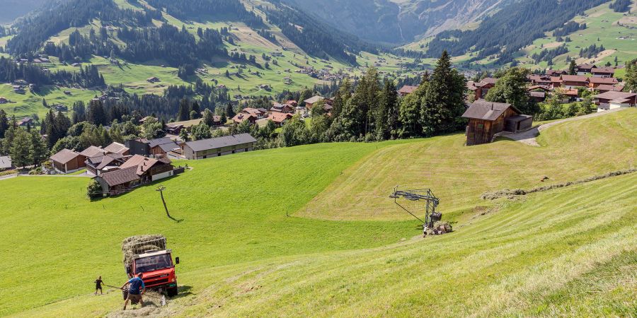 Bergheuet oberhalb von Adelboden.