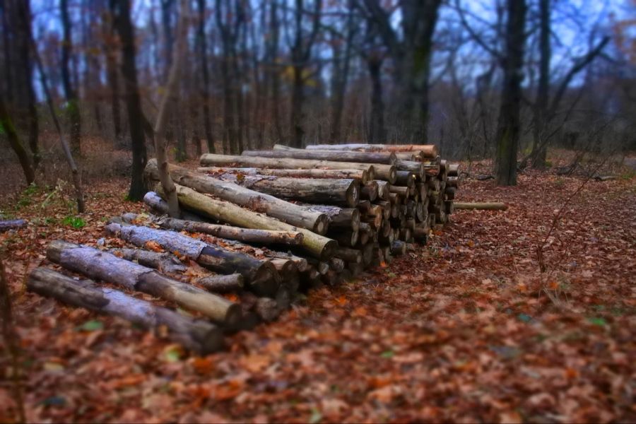 Holz Scheite Wald Laub Brennholz