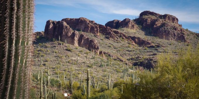 Schroffe Felsformationen und eine Menge Kakteen: Der Peralta Regional Park in Arizona wirbt mit rauer Ursprünglichkeit. Schroffe Felsformationen und eine Menge Kakteen: Der Peralta Regional Park in Arizona wirbt mit rauer Ursprünglichkeit.