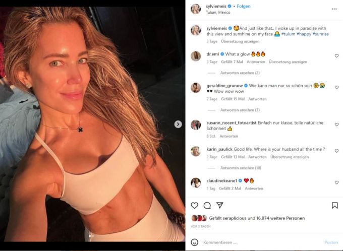 sylvie meis