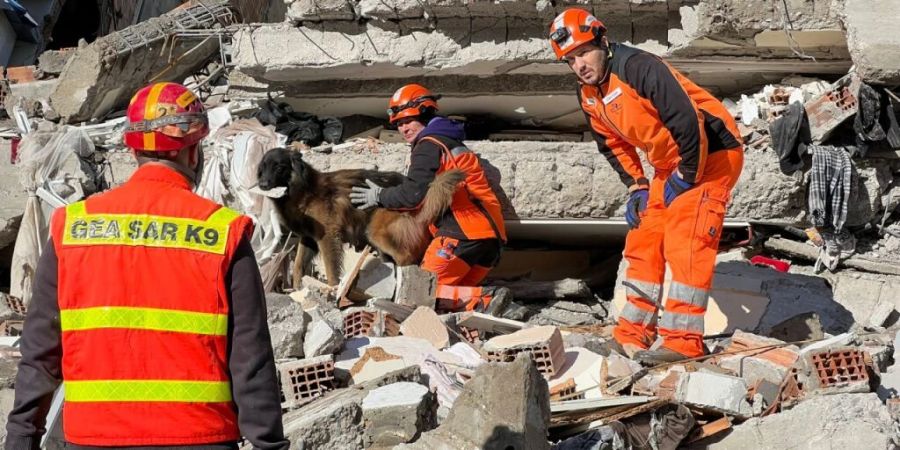 Ein Redog-Katastrophenhund im Einsatz in Hatay.