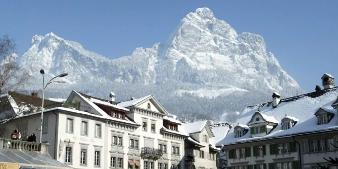 Unteriberg SZ - Wolfsverdacht auf Schwyzer Alp nicht bestätigt