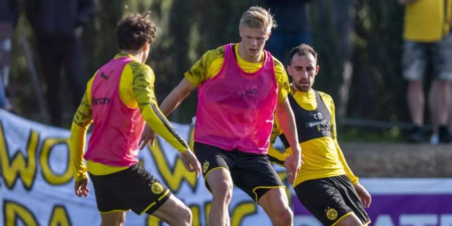 Erling Haaland beim BVB-Training in Marbella. Foto: David Inderlied/dpa