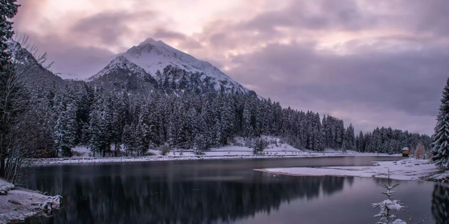 Winter landschaft