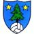 Logo FC Saint-Léonard 1