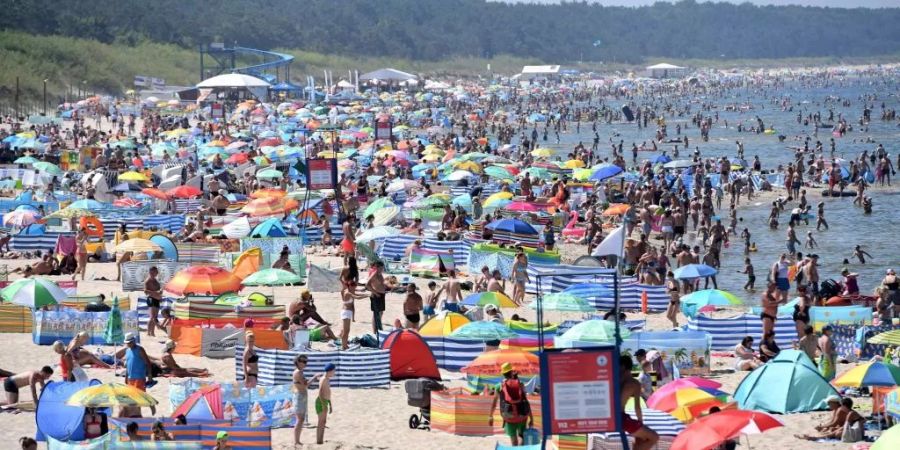 Vor der Küste Floridas werden derzeit Wassertemperaturen von bis zu etwas über 36 Grad gemessen. (Symbolbild)