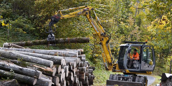 Schweizer Holz
