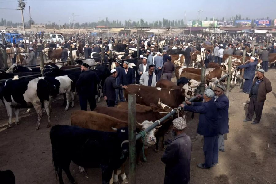 wildtiermarkt china