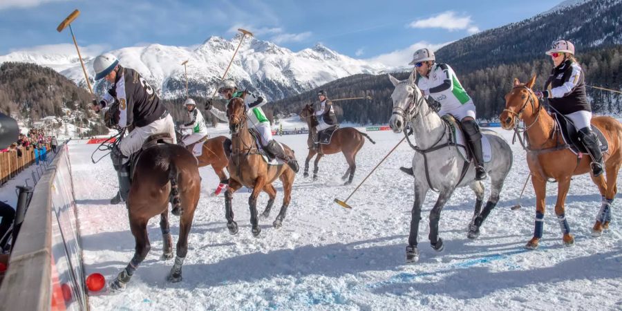 snow polo st. moritz