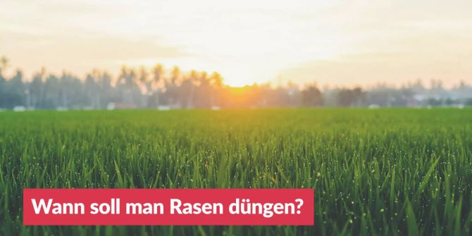 Rasen