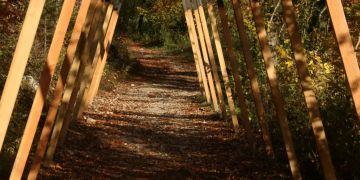 Naturpark Thal Pro Natura