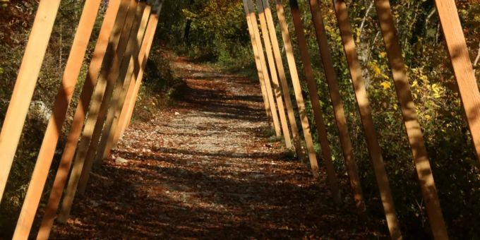 Der Holzweg im Naturpark Thal. Naturpark Thal Pro Natura